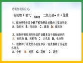 北师大版生物七年级上册 3.4.3 吸收作用 教学课件