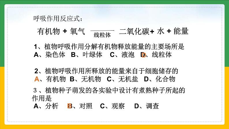 北师大版生物七年级上册 3.4.3 吸收作用 教学课件02