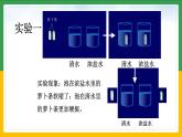 北师大版生物七年级上册 3.4.3 吸收作用 教学课件
