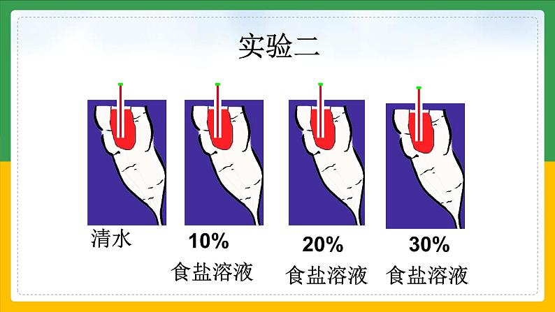 北师大版生物七年级上册 3.4.3 吸收作用 教学课件06