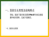 北师大版生物七年级上册 3.4.4 运输作用 教学课件