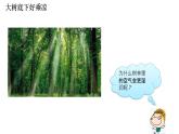 北师大版生物七年级上册 3.4.5 蒸腾作用 教学课件