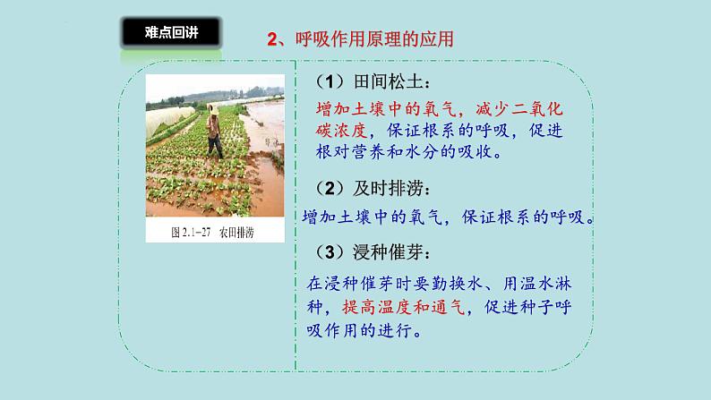 北师大版生物七年级上册 3.4.6 植物在生物圈中的作用 教学课件03