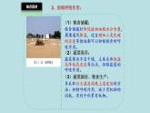 北师大版生物七年级上册 3.4.6 植物在生物圈中的作用 教学课件