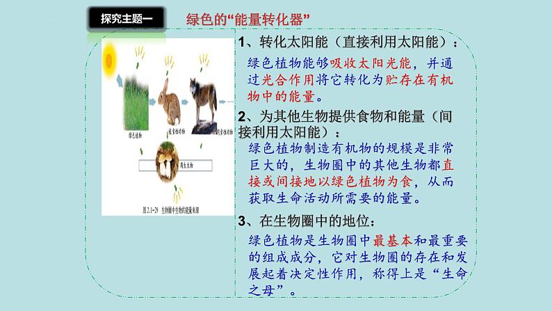 北师大版生物七年级上册 3.4.6 植物在生物圈中的作用 教学课件08