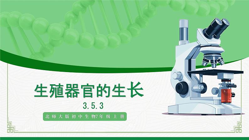 北师大版生物七年级上册 3.5.3 生殖器官的生长 教学课件01