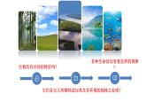 苏科版生物七年级上册 1.1.1生物与生物学 同步课件
