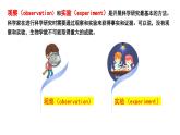 苏科版生物七年级上册 1.2 生物学研究的基本方法（第2课时） 同步课件