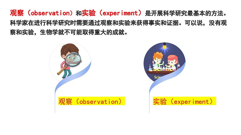 苏科版生物七年级上册 1.2 生物学研究的基本方法（第2课时） 同步课件第4页