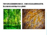 苏科版生物七年级上册 2.2 生物对环境的适应和影响（第2课时） 同步课件