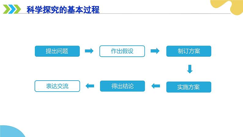 苏科版生物七年级上册 2.2 生物对环境的适应和影响（第2课时） 同步课件08