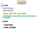 苏科版生物七年级上册 3.1 多种多样的生态系统（第1课时） 同步课件