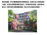 苏科版生物七年级上册 3.1 多种多样的生态系统（第1课时） 同步课件