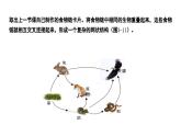 苏科版生物七年级上册 3.2 生态系统中不同生物之间的食物关系（第2课时） 同步课件