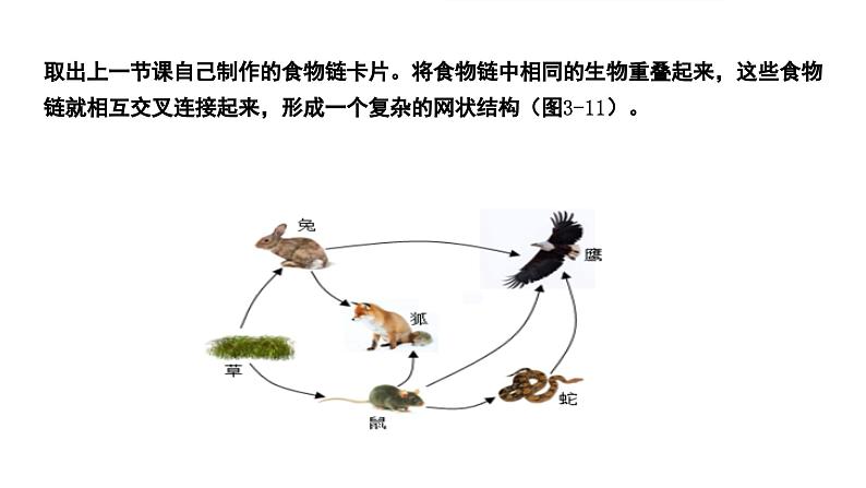 苏科版生物七年级上册 3.2 生态系统中不同生物之间的食物关系（第2课时） 同步课件04