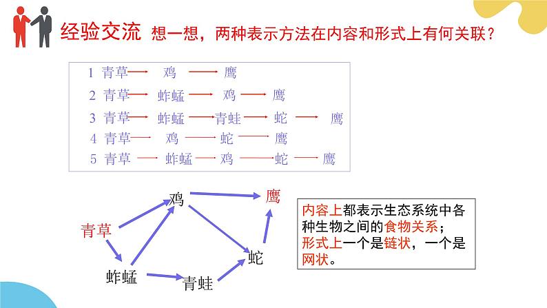 苏科版生物七年级上册 3.2 生态系统中不同生物之间的食物关系（第2课时） 同步课件07