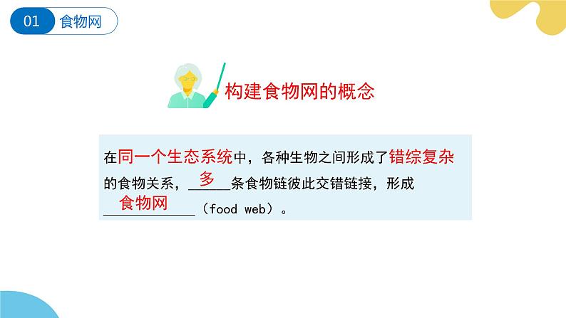 苏科版生物七年级上册 3.2 生态系统中不同生物之间的食物关系（第2课时） 同步课件08