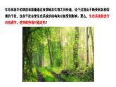 苏科版生物七年级上册 3.3 维护生态系统的稳定 同步课件