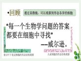 苏科版生物七年级上册 3.4.1细胞是生物体结构和功能的基本单位 同步课件