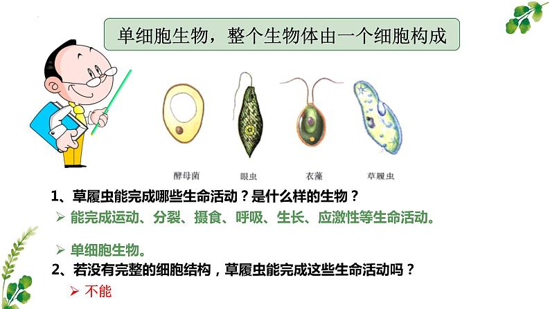 苏科版生物七年级上册 3.4.1细胞是生物体结构和功能的基本单位 同步课件03