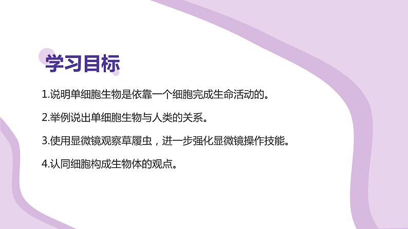 苏科版生物七年级上册 3.4.2单细胞生物 同步课件03