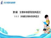 苏科版生物七年级上册 3.5.2多细胞生物体的结构层次 同步课件