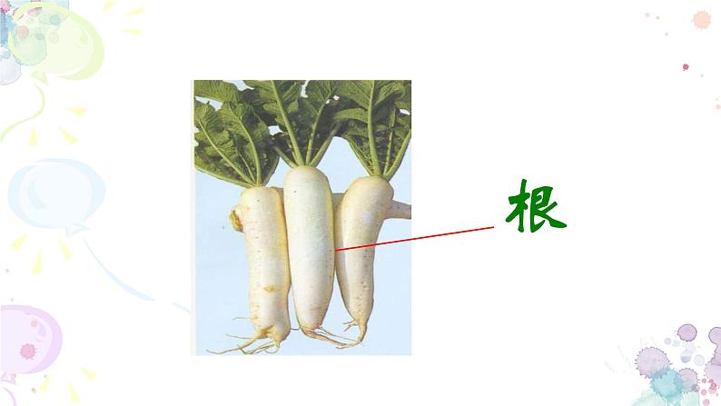 苏科版生物七年级上册 3.5.2多细胞生物体的结构层次 同步课件06