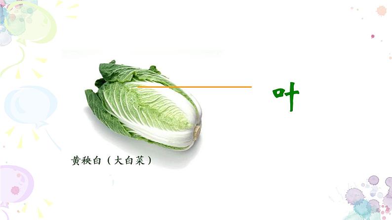 苏科版生物七年级上册 3.5.2多细胞生物体的结构层次 同步课件08