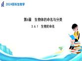 苏科版生物七年级上册 3.6.1生物的命名 同步课件