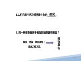 苏科版生物七年级上册 3.6.1生物的命名 同步课件