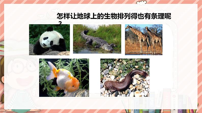 苏科版生物七年级上册 3.6.2生物的分类 同步课件05