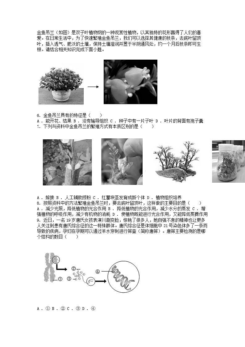 [生物][二模]2024年山西省大同市多所学校八年级中考二模生物试题02