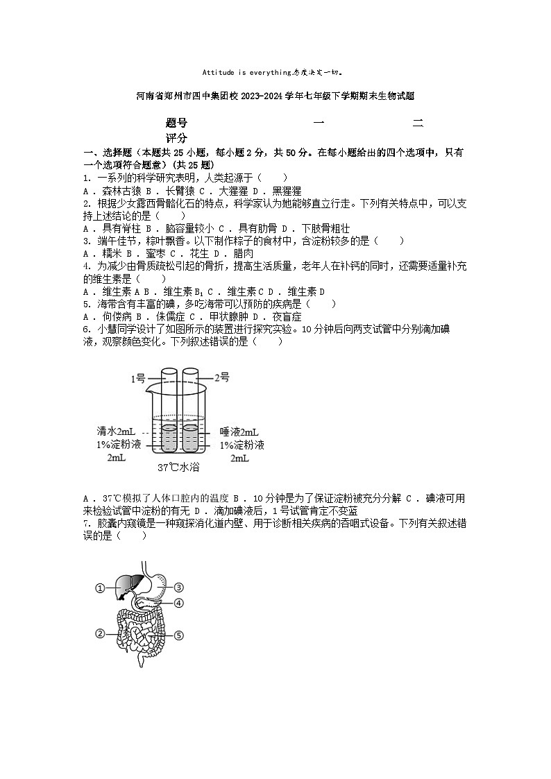 [生物][期末]河南省郑州市四中集团校2023-2024学年七年级下学期期末生物试题01