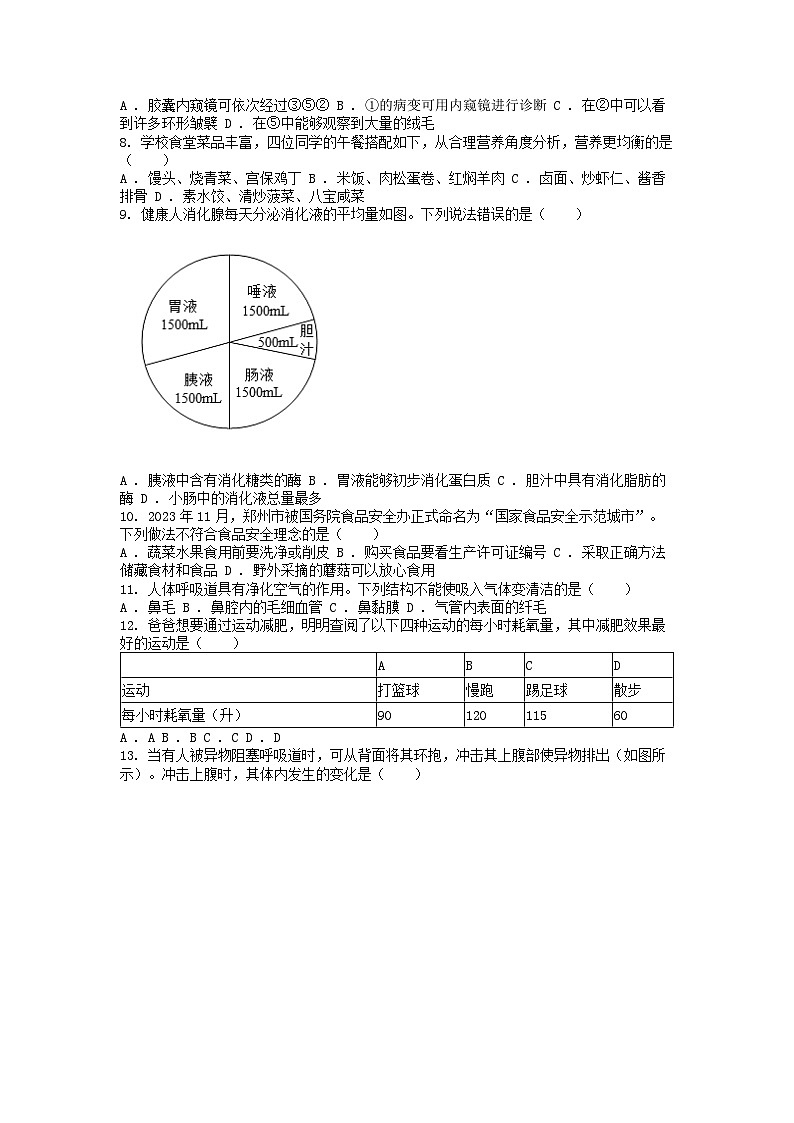 [生物][期末]河南省郑州市四中集团校2023-2024学年七年级下学期期末生物试题02