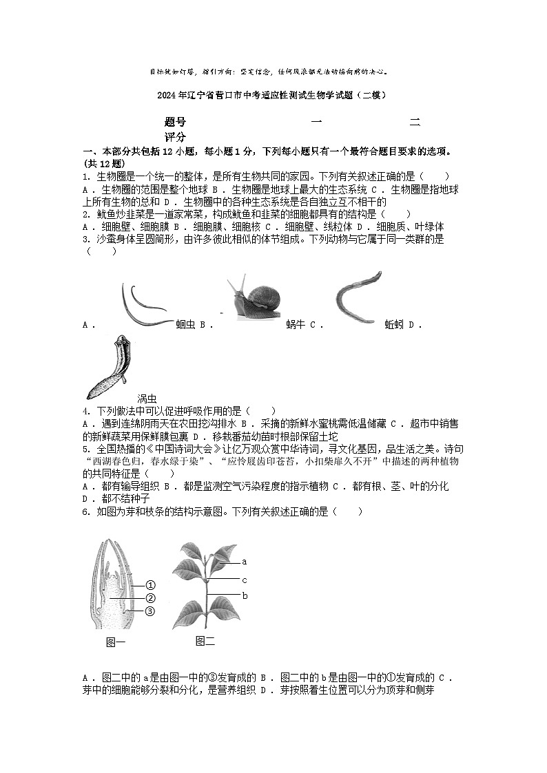 [生物][二模]2024年辽宁省营口市中考适应性测试生物学试题(二模)01