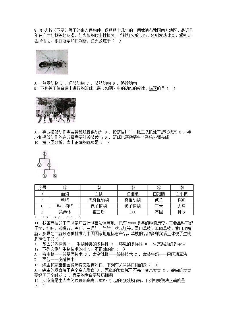 [生物]广西柳州市2024年初中学业水平模拟考试生物试卷02