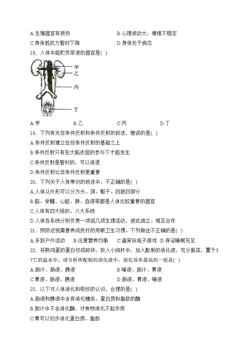 河南省洛阳市新安县2023-2024学年七年级下学期期末考试生物试卷(含答案)03