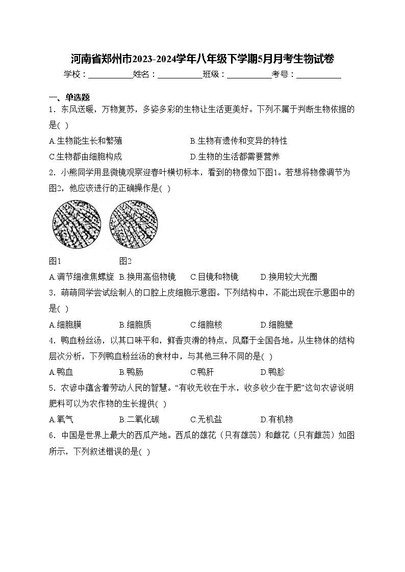 河南省郑州市2023-2024学年八年级下学期5月月考生物试卷(含答案)01