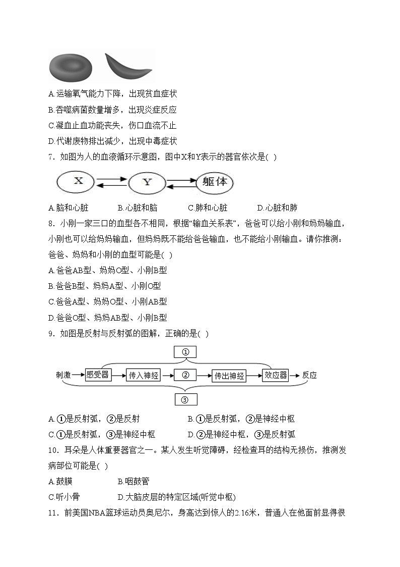 辽宁省沈阳市协作体2023-2024学年七年级下学期期末生物试卷(含答案)第2页