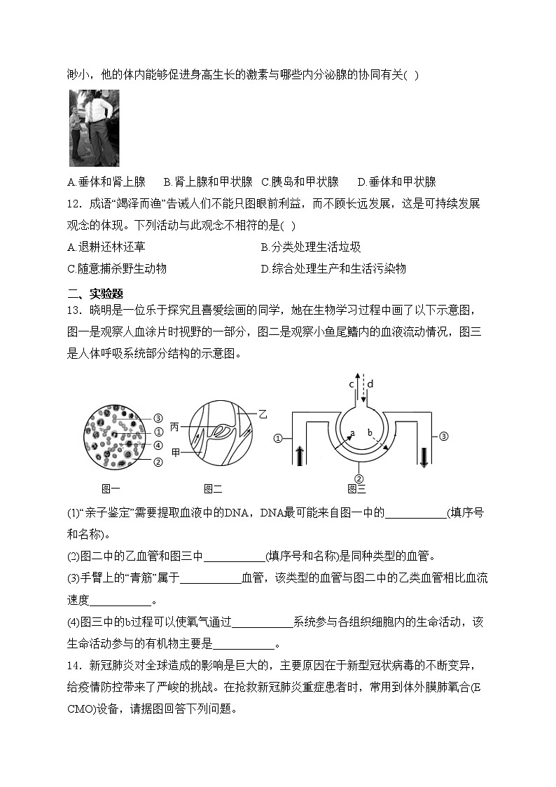 辽宁省沈阳市协作体2023-2024学年七年级下学期期末生物试卷(含答案)第3页