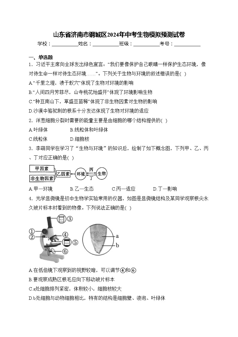 山东省济南市钢城区2024年中考生物模拟预测试卷(含答案)第1页