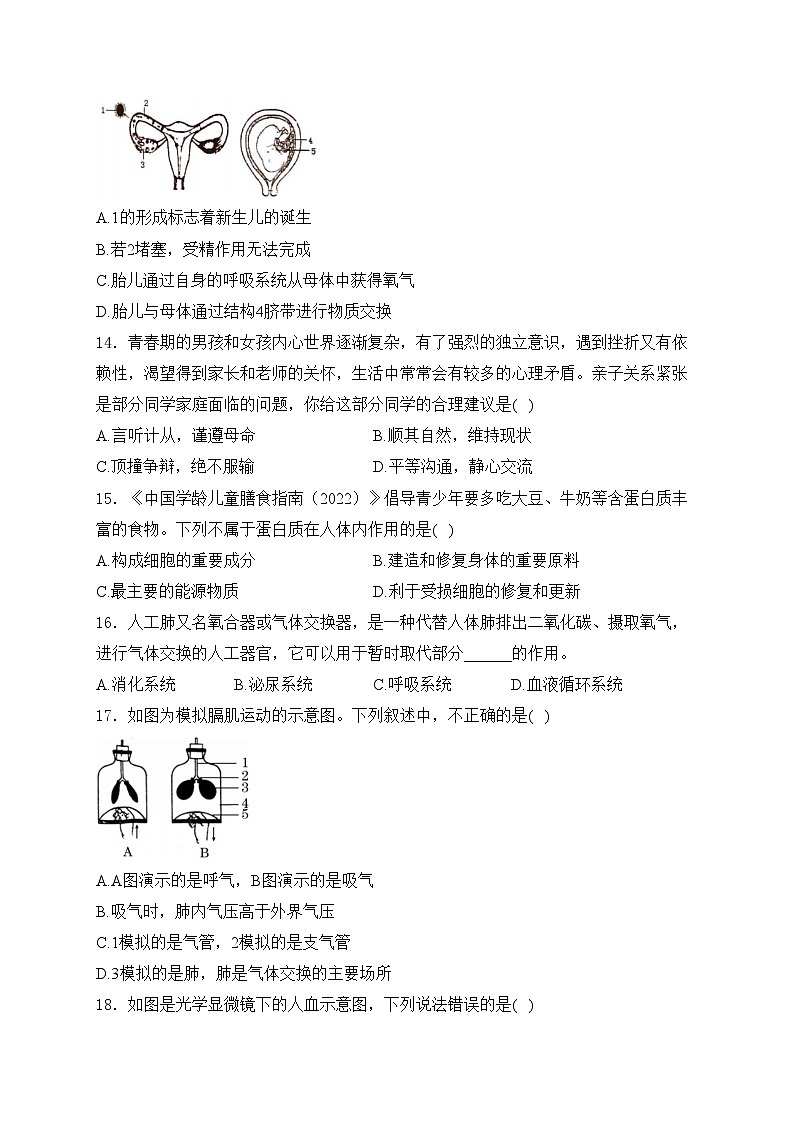 云南省昭通市2023-2024学年七年级下学期7月期末考试生物试卷(含答案)第3页