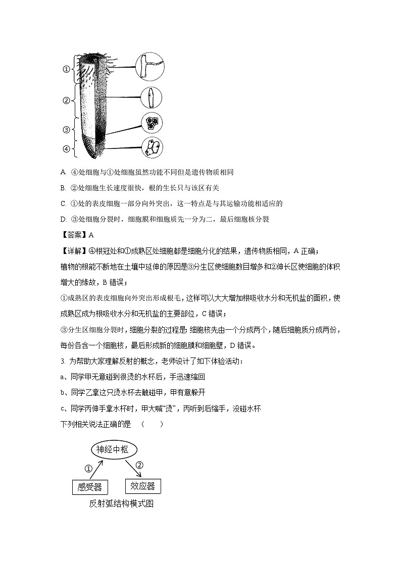 [生物]2024年江苏省徐州市八年级中考模拟试卷(解析版)第2页