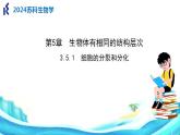 苏科版生物七年级上册 3.5.1细胞的分裂和分化 同步课件