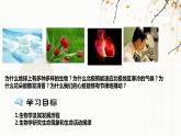 北师大版生物七年级上册 1.1.2 生物学是探索生命的科学 教学课件
