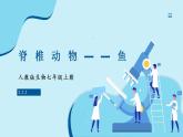 人教版生物七年级上册 2.2.2 脊椎动物—鱼 同步课件