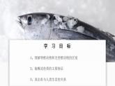 人教版生物七年级上册 2.2.2 脊椎动物—鱼 同步课件