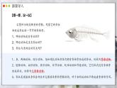人教版生物七年级上册 2.2.2 脊椎动物—鱼 同步课件