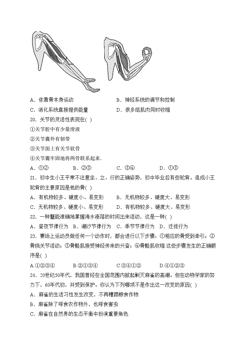 罗定市培献中学2023-2024学年八年级上学期10月月考生物试卷(含答案)03