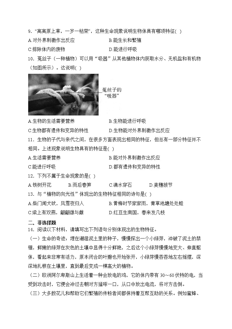 1.1.2生物的特征——人教版（2024）七年级生物上册同步课时作业第2页